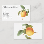 ヴィンテージフルーツフード、カルビルアップルバイルドゥート 名刺 (正面/裏面)