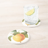 ヴィンテージフルーツフード、カルビルアップルバイレドゥート コースター (側面)