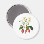 ヴィンテージフルーツベリー食べ物イチゴbyレドゥート マグネット (正面/裏面)