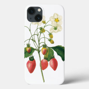 ヴィンテージフルーツベリー食べ物イチゴbyレドゥート iPhone 13ケース