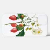 ヴィンテージフルーツベリー食べ物イチゴbyレドゥート Case-Mate iPhoneケース (裏面 (横))