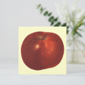 ヴィンテージフルーツレッドオーガニックおいしいリンゴ (スタンド正面)