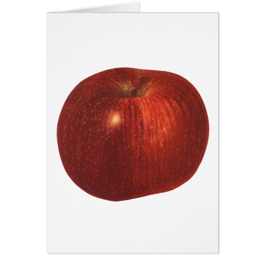 ヴィンテージフルーツレッドオーガニックおいしいリンゴ (正面)