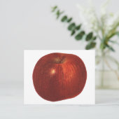 ヴィンテージフルーツレッドオーガニックおいしいリンゴ ポストカード (スタンド正面)