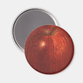 ヴィンテージフルーツレッドオーガニックおいしいリンゴ マグネット (正面/裏面)