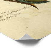 ヴィンテージフルーツ植物性ポスター梨イラストレーション ポスター (角)