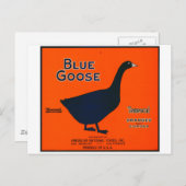 ヴィンテージフルーツ表示 ポストカード (正面/裏面)