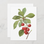 ヴィンテージフルーツ、さくらんぼズバイルドゥート招待状 (正面/裏面)