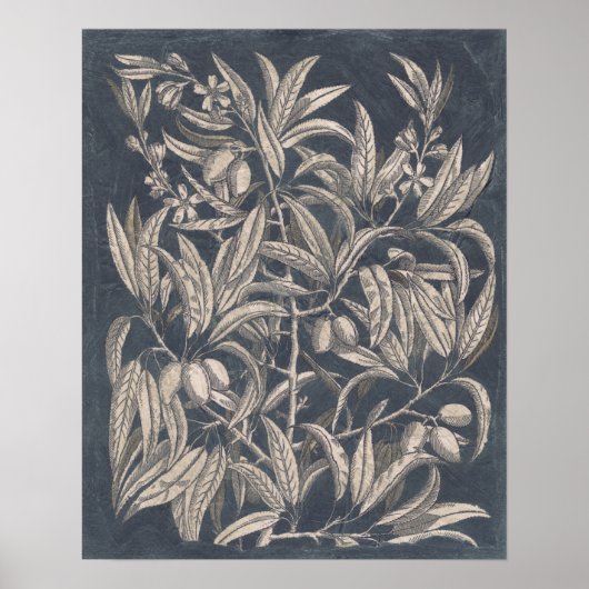 ヴィンテージフルーツ&フローラI ポスター (正面)