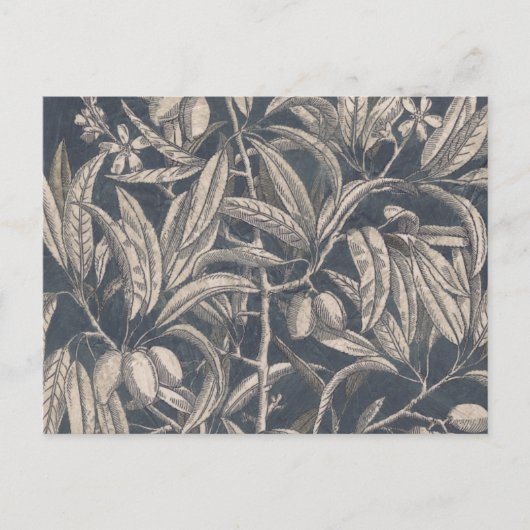 ヴィンテージフルーツ&フローラI ポストカード (正面)