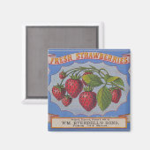 ヴィンテージフレッシュイチゴ磁石 マグネット (正面/裏面)