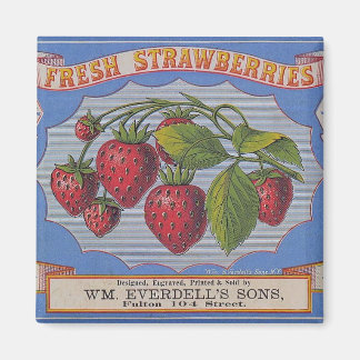 ヴィンテージフレッシュイチゴ磁石 マグネット