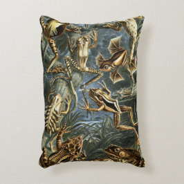 ヴィンテージフロッグとトアズ・バトラキアby Ernst Haeckel アクセントクッション