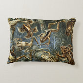 ヴィンテージフロッグとトアズ・バトラキアby Ernst Haeckel アクセントクッション (裏面)