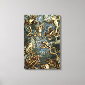 ヴィンテージフロッグとトアズ・バトラキアby Ernst Haeckel キャンバスプリント (正面)