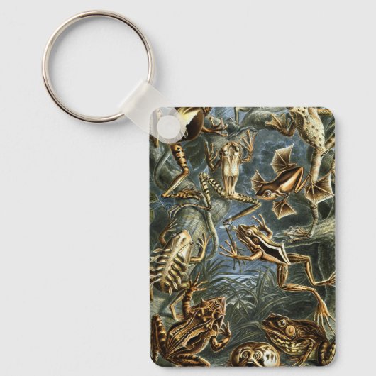 ヴィンテージフロッグとトアズ・バトラキアby Ernst Haeckel キーホルダー (正面)