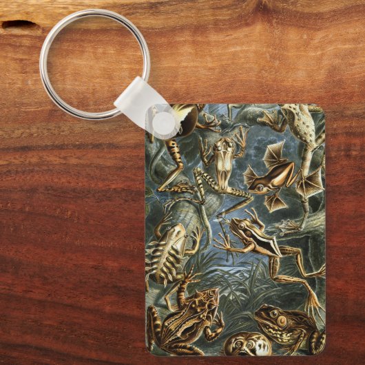ヴィンテージフロッグとトアズ・バトラキアby Ernst Haeckel キーホルダー (正面)