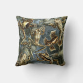 ヴィンテージフロッグとトアズ・バトラキアby Ernst Haeckel クッション (裏面)