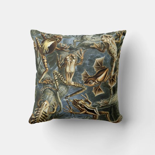 ヴィンテージフロッグとトアズ・バトラキアby Ernst Haeckel クッション (裏面)