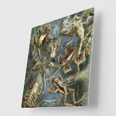 ヴィンテージフロッグとトアズ・バトラキアby Ernst Haeckel スクエア壁時計 (傾斜)