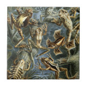 ヴィンテージフロッグとトアズ・バトラキアby Ernst Haeckel タイル (正面)