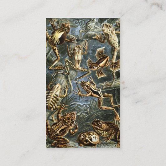 ヴィンテージフロッグとトアズ・バトラキアby Ernst Haeckel 名刺 (裏面)