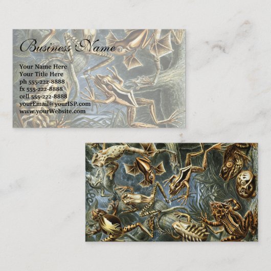 ヴィンテージフロッグとトアズ・バトラキアby Ernst Haeckel 名刺 (正面/裏面)