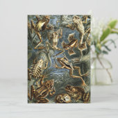 ヴィンテージフロッグとトアズ・バトラキアby Ernst Haeckel 招待状 (スタンド正面)