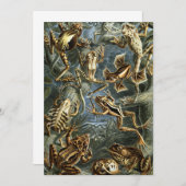 ヴィンテージフロッグとトアズ・バトラキアby Ernst Haeckel 招待状 (正面/裏面)