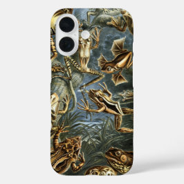 ヴィンテージフロッグとトアズ・バトラキアby Ernst Haeckel iPhone 16ケース