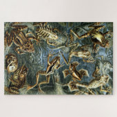 ヴィンテージフロッグズバイエルンストヘイケル ジグソーパズル (横)