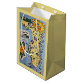 ヴィンテージフロリダのグリーティングツーリズムの地図 ミディアムペーパーバッグ (裏面アングル)