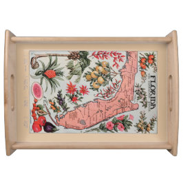 ヴィンテージフロリダの地図 トレー