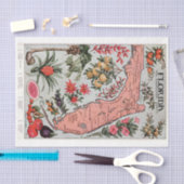 ヴィンテージフロリダの地図 薄葉紙 (クラフト)