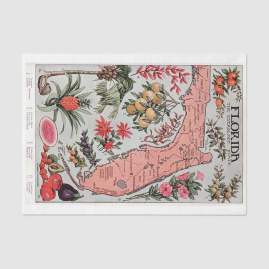 ヴィンテージフロリダの地図 薄葉紙 (正面)