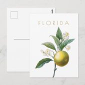 ヴィンテージフロリダの花の旅ミッドセンチュリーポスト ポストカード (正面/裏面)