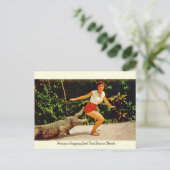 ヴィンテージフロリダアリゲーターポストカード ポストカード (スタンド正面)