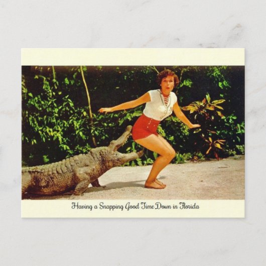 ヴィンテージフロリダアリゲーターポストカード ポストカード (正面)