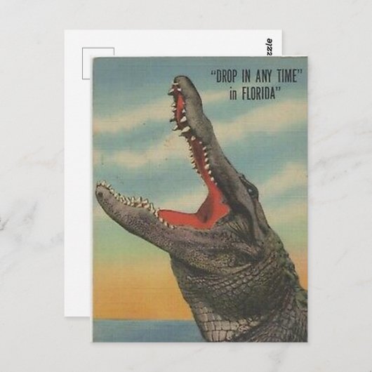 ヴィンテージフロリダアリゲーターポストカード ポストカード (正面/裏面)