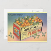 ヴィンテージフロリダオレンジポストカード ポストカード (正面/裏面)