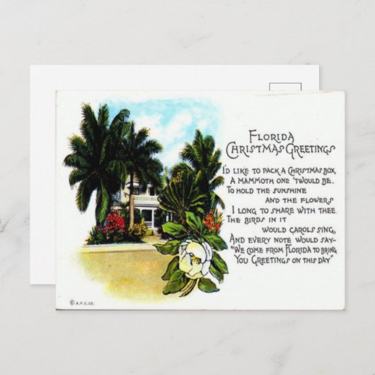 ヴィンテージフロリダクリスマスグリーティング シーズンポストカード (正面/裏面)