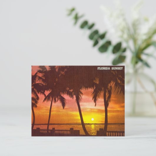 ヴィンテージフロリダサンセット旅行はがき ポストカード (スタンド正面)