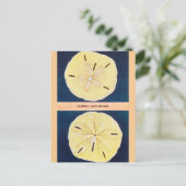 ヴィンテージフロリダサンドドルトラベルハガキ ポストカード (スタンド正面)