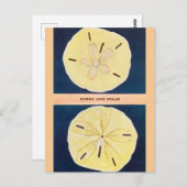 ヴィンテージフロリダサンドドルトラベルハガキ ポストカード (正面/裏面)