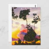 ヴィンテージフロリダシルエットサンライズサンセットトラベル ポストカード (正面/裏面)