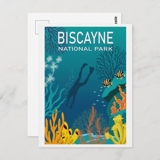 ヴィンテージフロリダビスケイン国立公園旅行 ポストカード (正面/裏面)