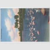 ヴィンテージフロリダフラミンゴ 薄葉紙 (正面)