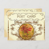 ヴィンテージフロリダ州フラワーポストカード ポストカード (正面/裏面)