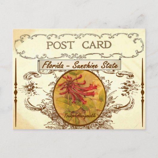 ヴィンテージフロリダ州フラワーポストカード ポストカード (正面)