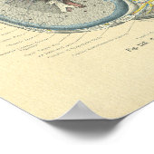 ヴィンテージフロース解剖学的断面 ポスター (角)